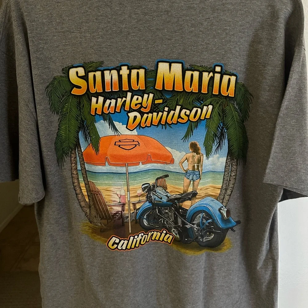 Harley-Davidson Gray and Red Motorcycle Tee - Picture 2 of 3